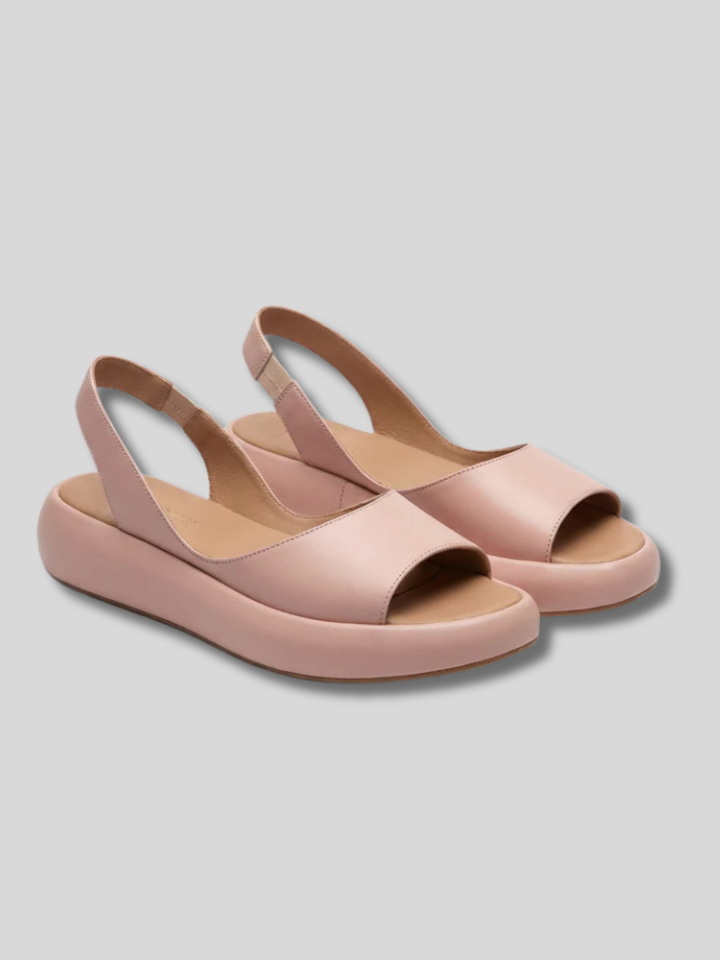 Sofia women&