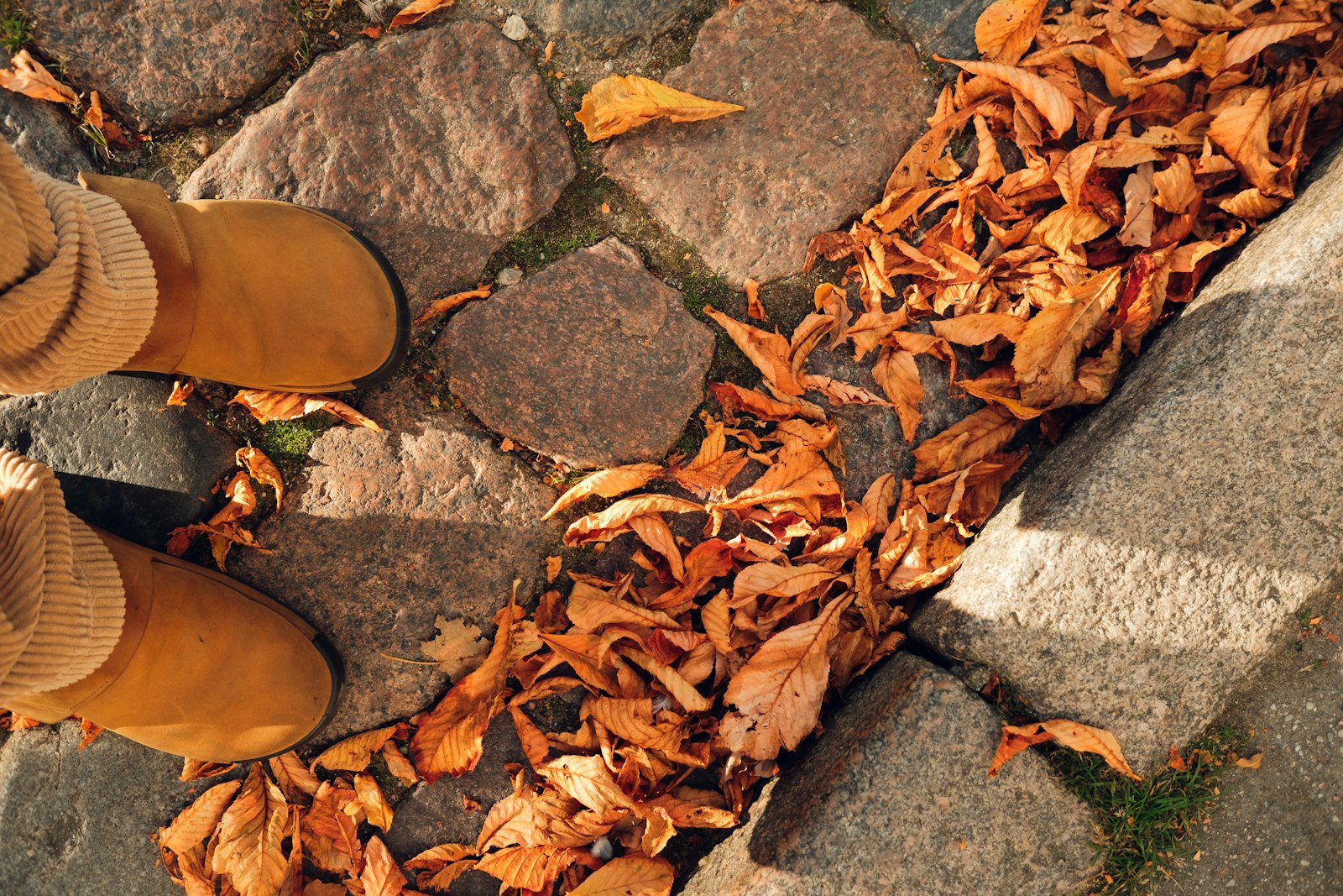 Ankle boots on a path among fallen autumn leaves — how to wear ankle boots this fall
