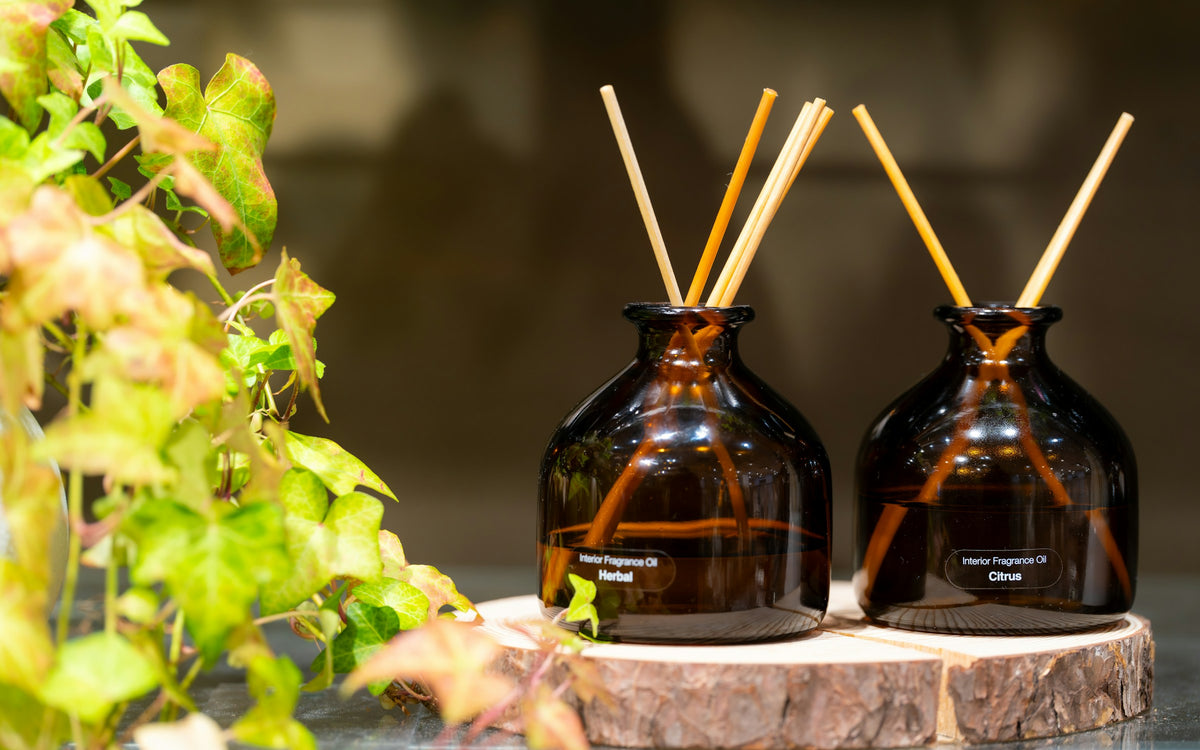 Candles and fragrance | Milano Casa