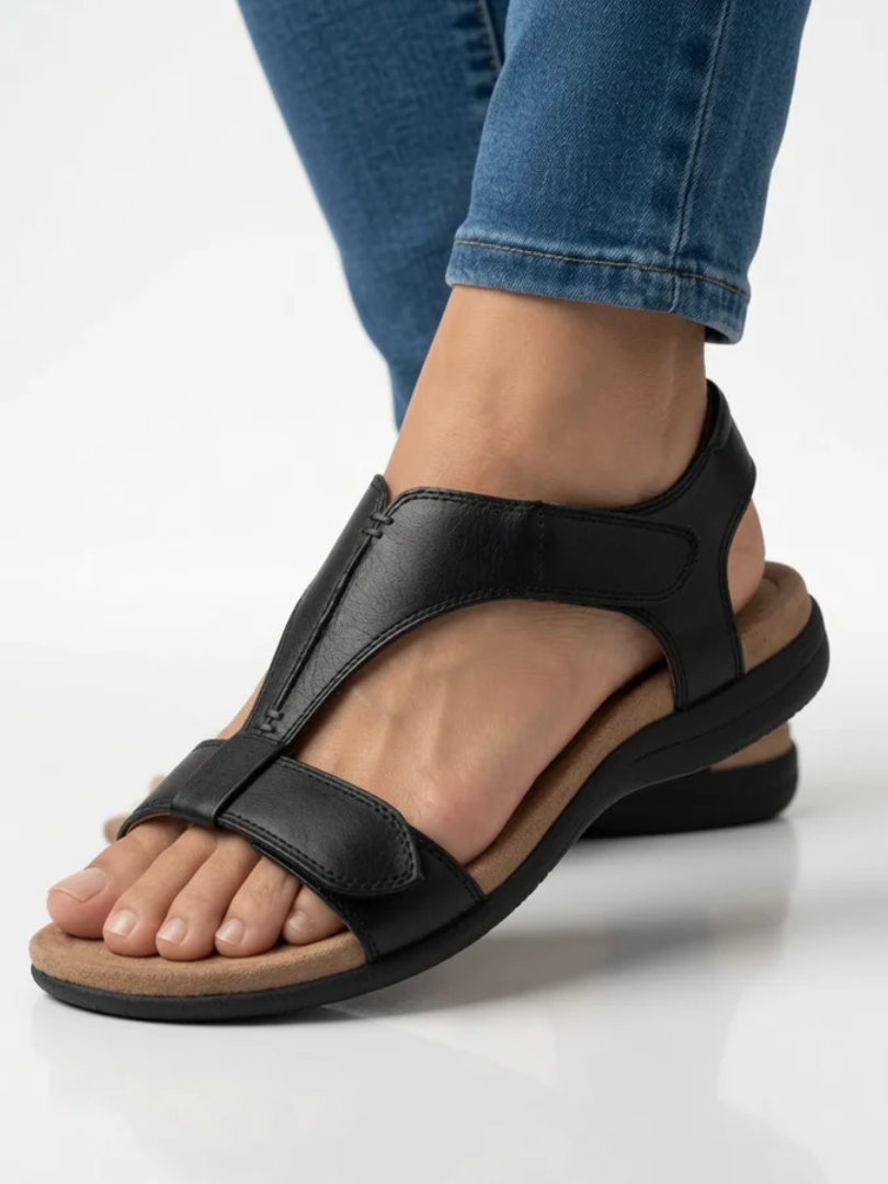 Black / US 12