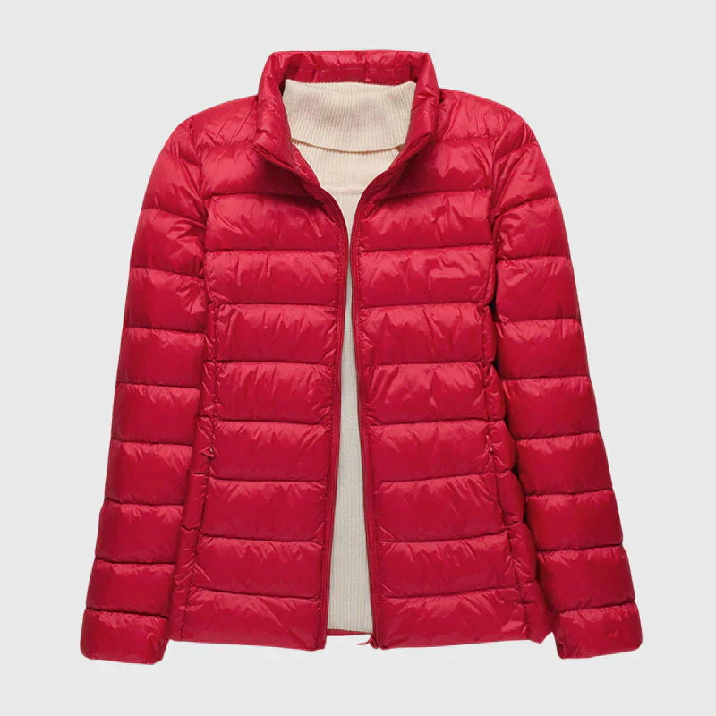 Red Stand Collar / 3XL