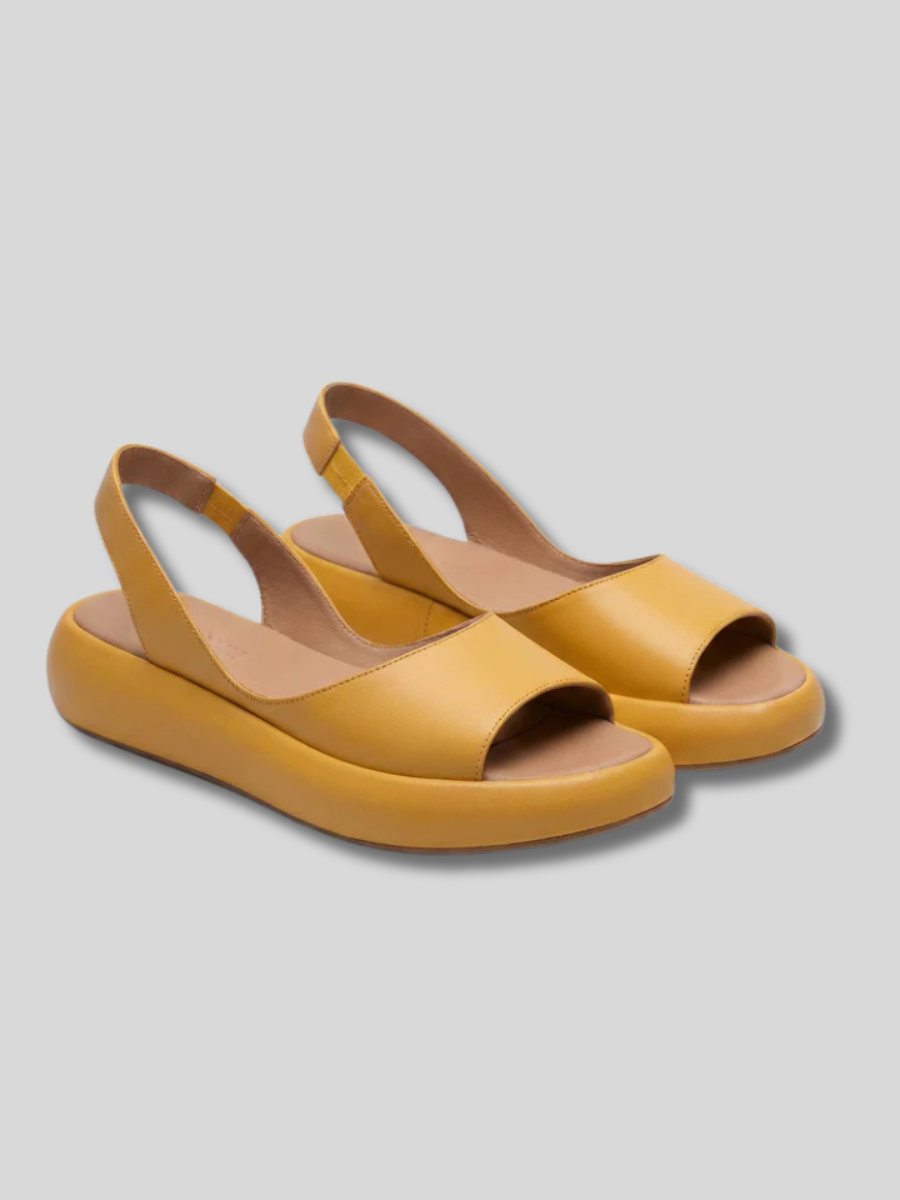 Yellow / US 12