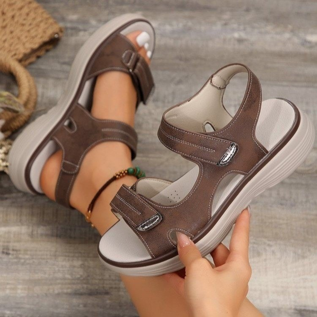 Brown / US 12