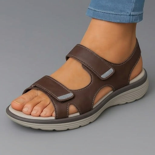 Brown / US 12
