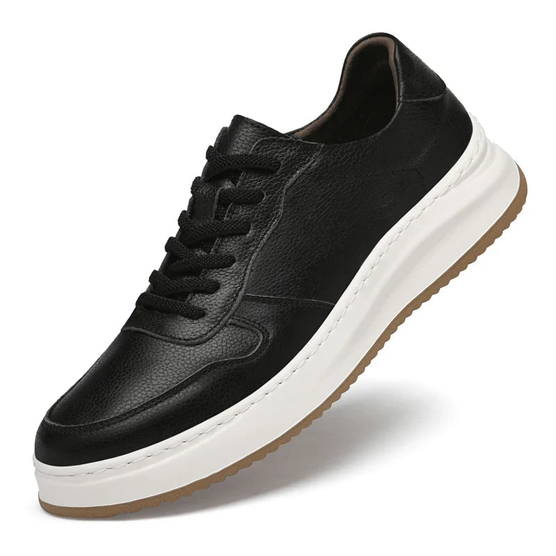 Black / 43