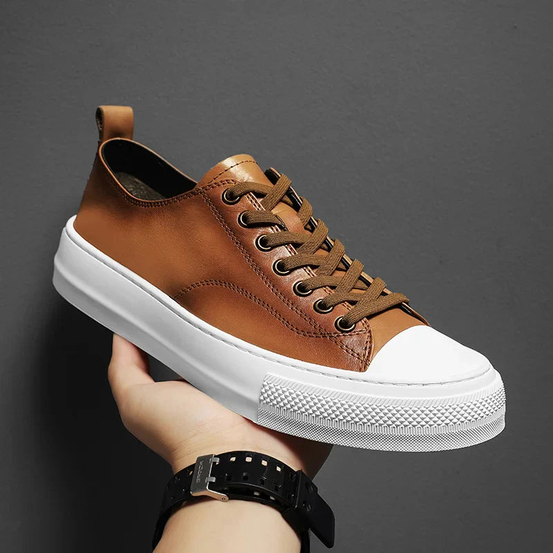 Brown / 44