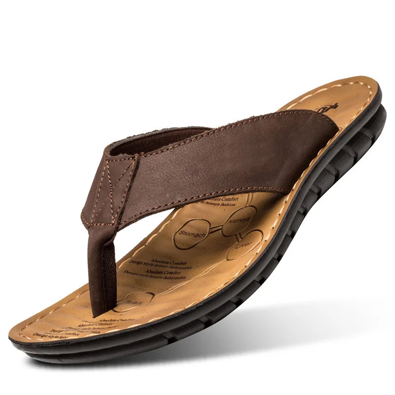 Brown / 44