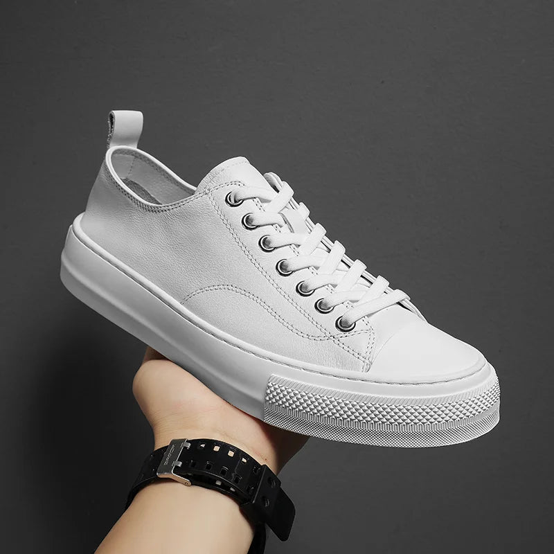 White / 44