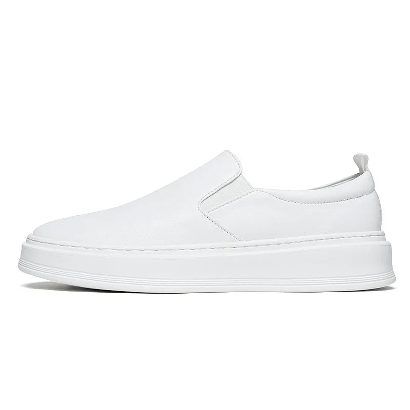 White / 47