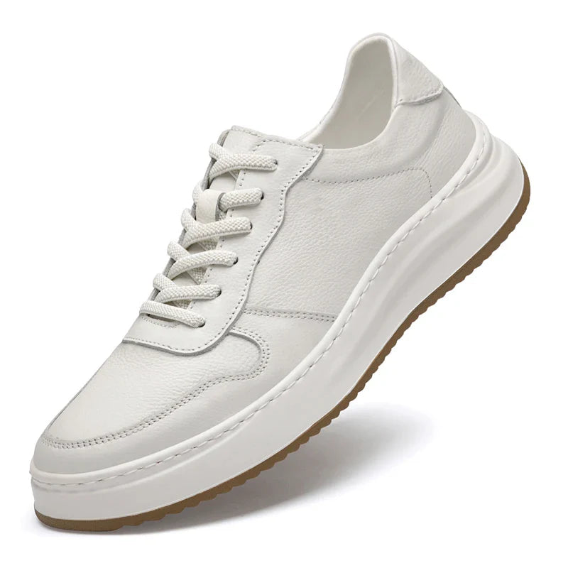 White / 43