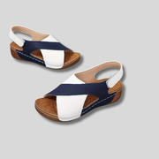 Navy Blue / US 12