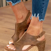 Brown / US 12