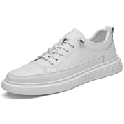 White / US 12