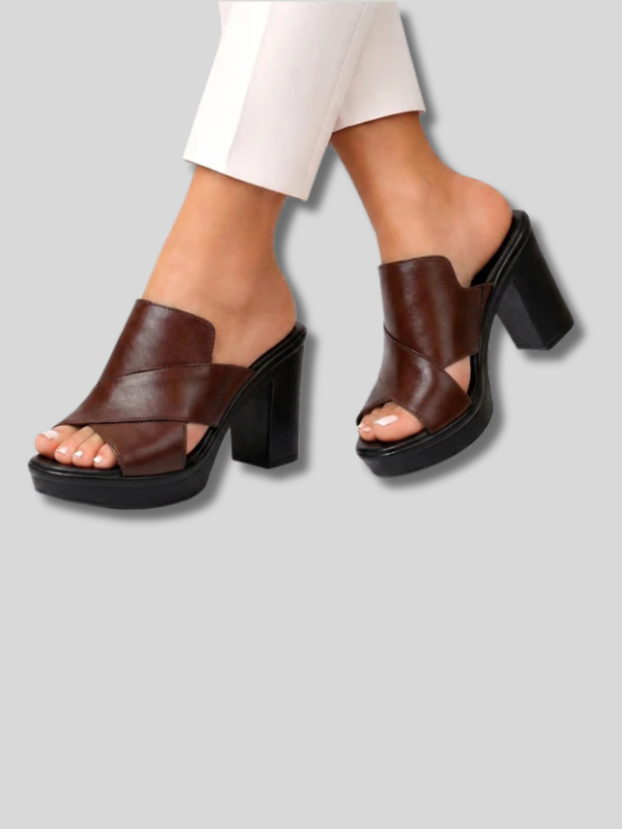Brown / US 12