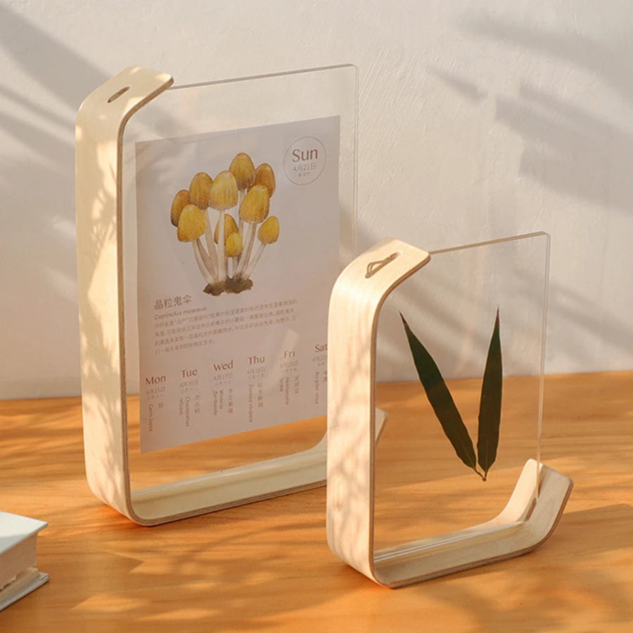 Erbario frames with pressed flowers