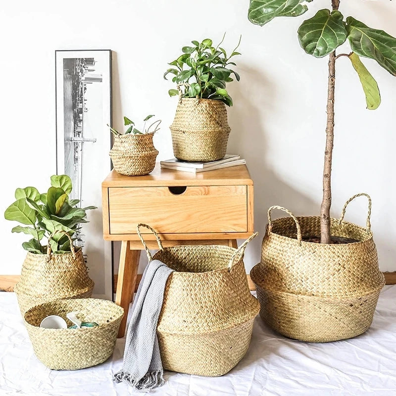 Fienile seagrass baskets with plants