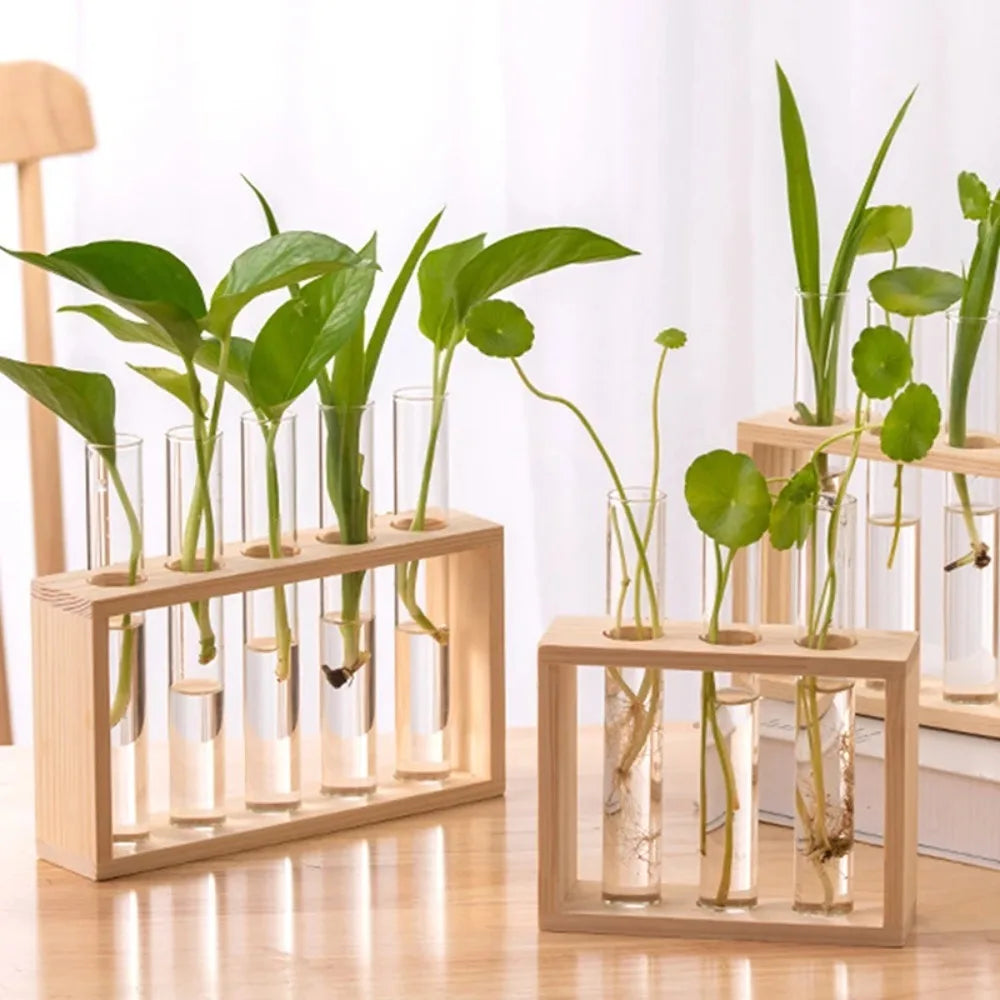 Germoglio propagation stations with green cuttings