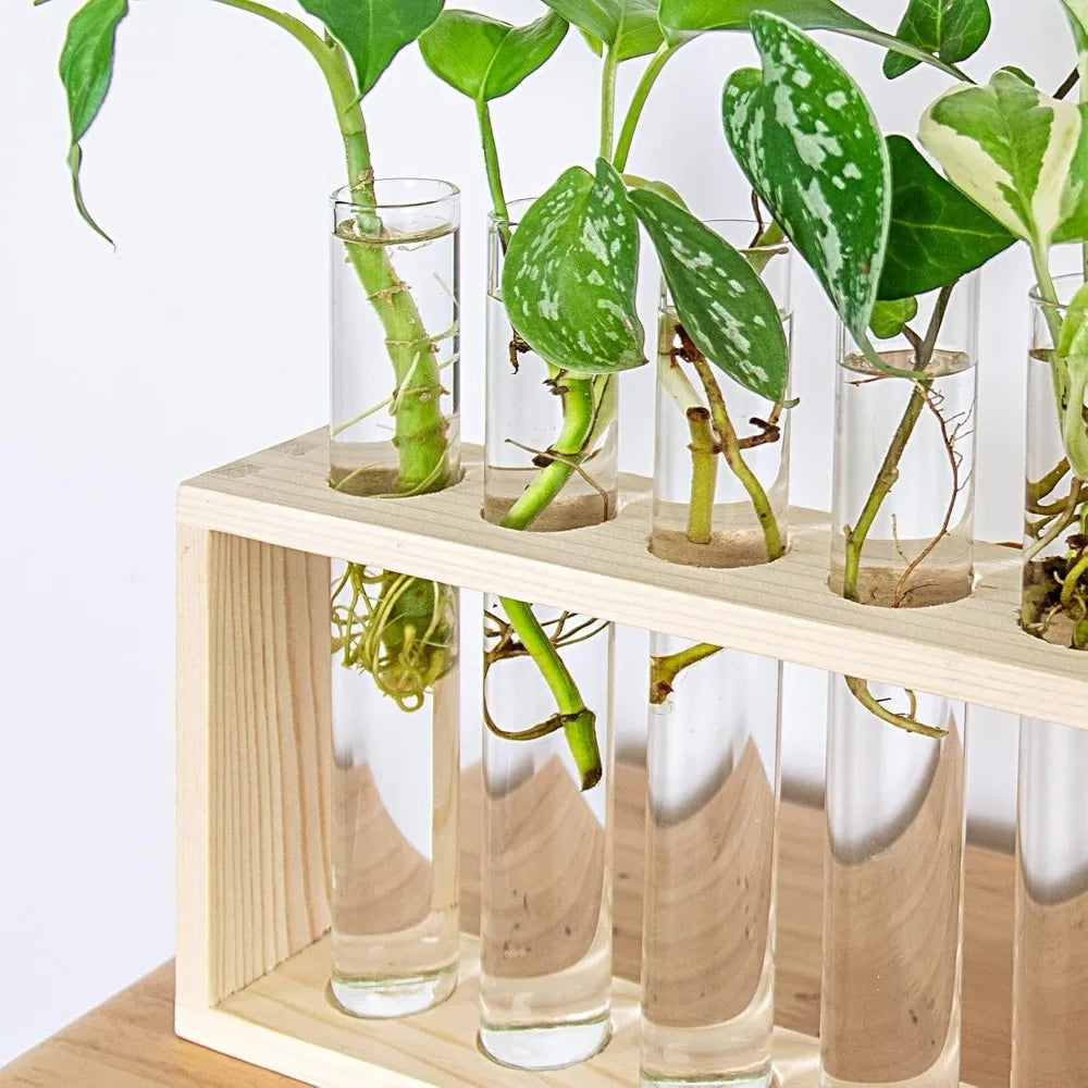 Germoglio station on a shelf