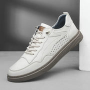 White / US 12