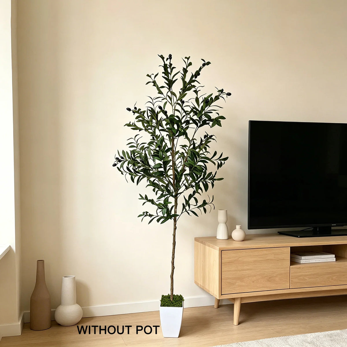 Liguria olive tree next to a TV console