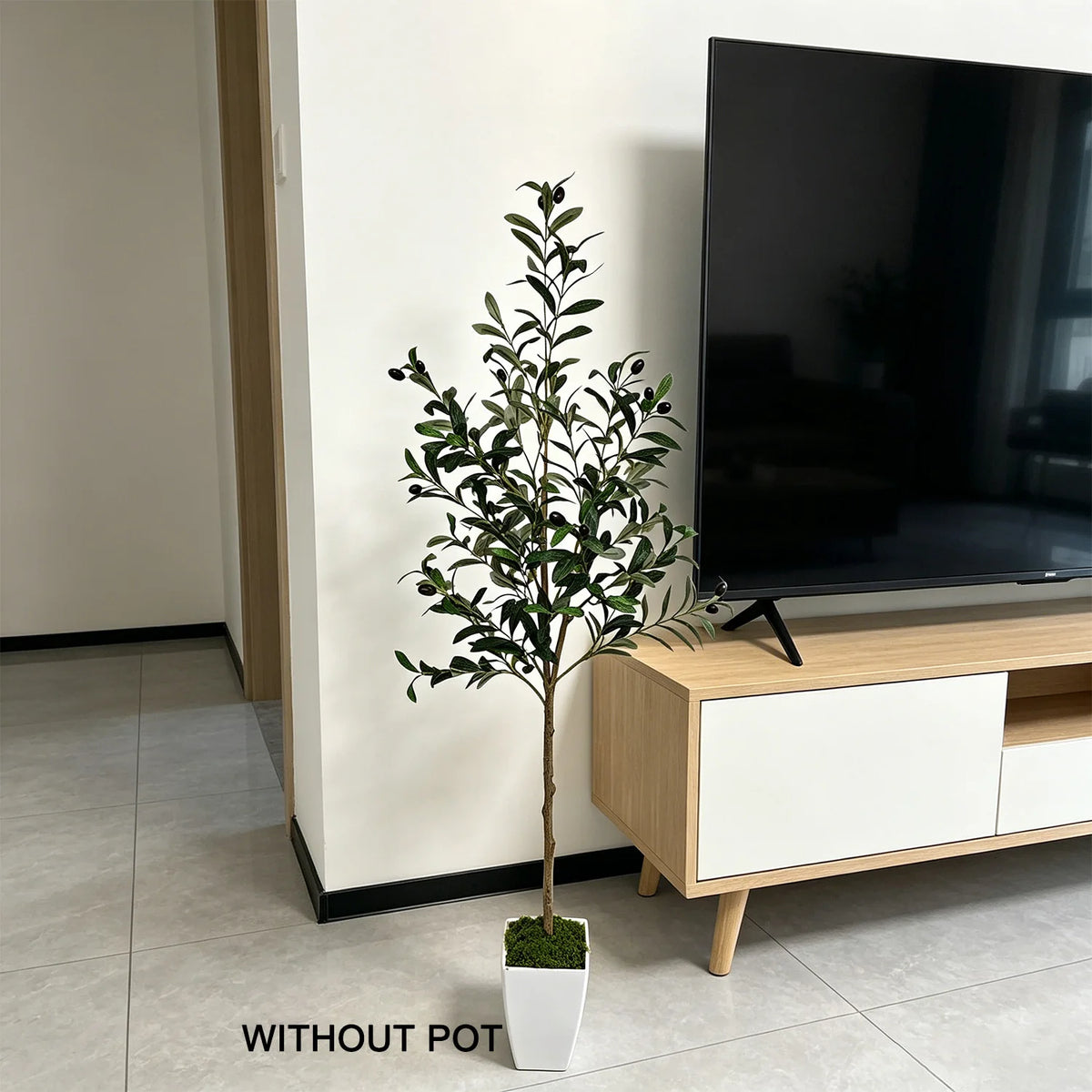 Liguria olive tree beside a sideboard