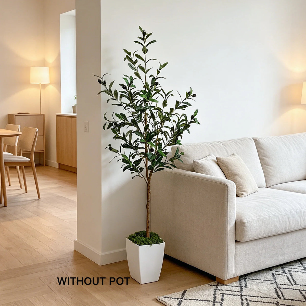 Liguria olive tree next to a sofa