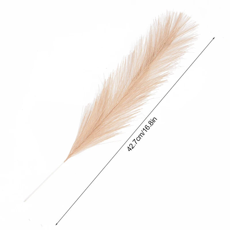 Single Maremma pampas stem