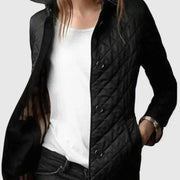 Black / 3XL