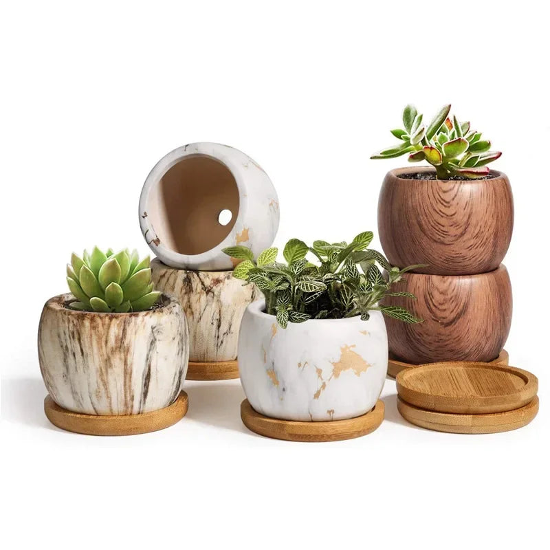 Marmo planters with succulents