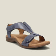 Navy Blue / US 12