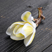 Yellow-Tipped White