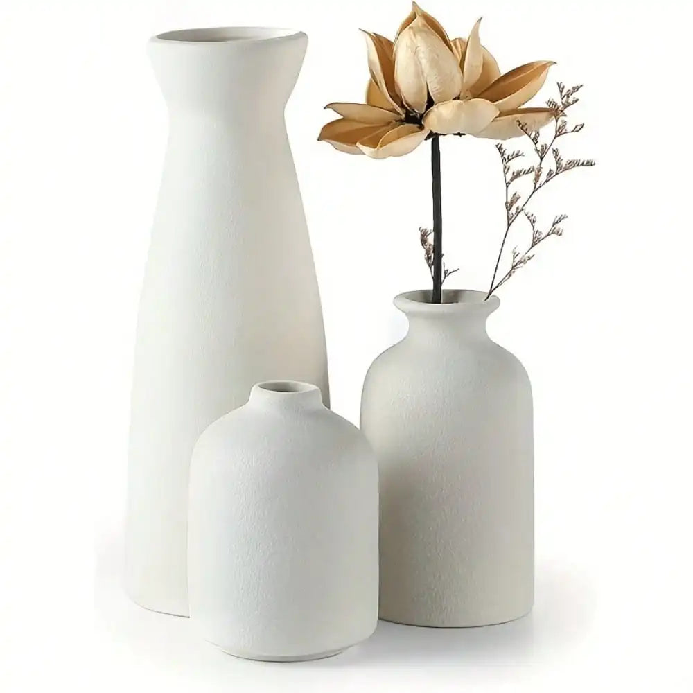 Pienza ceramic vase set with dried flowers