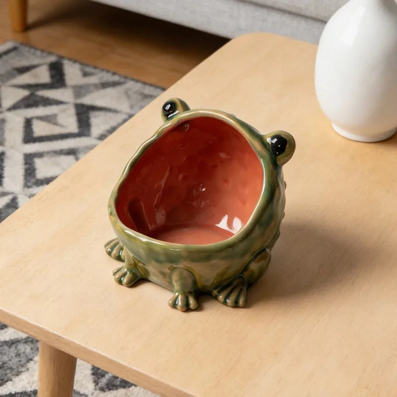 Rana frog on a table