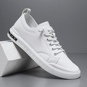 White / US 11