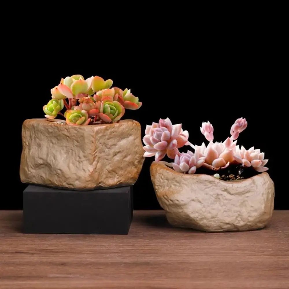 Roccia planters with succulents