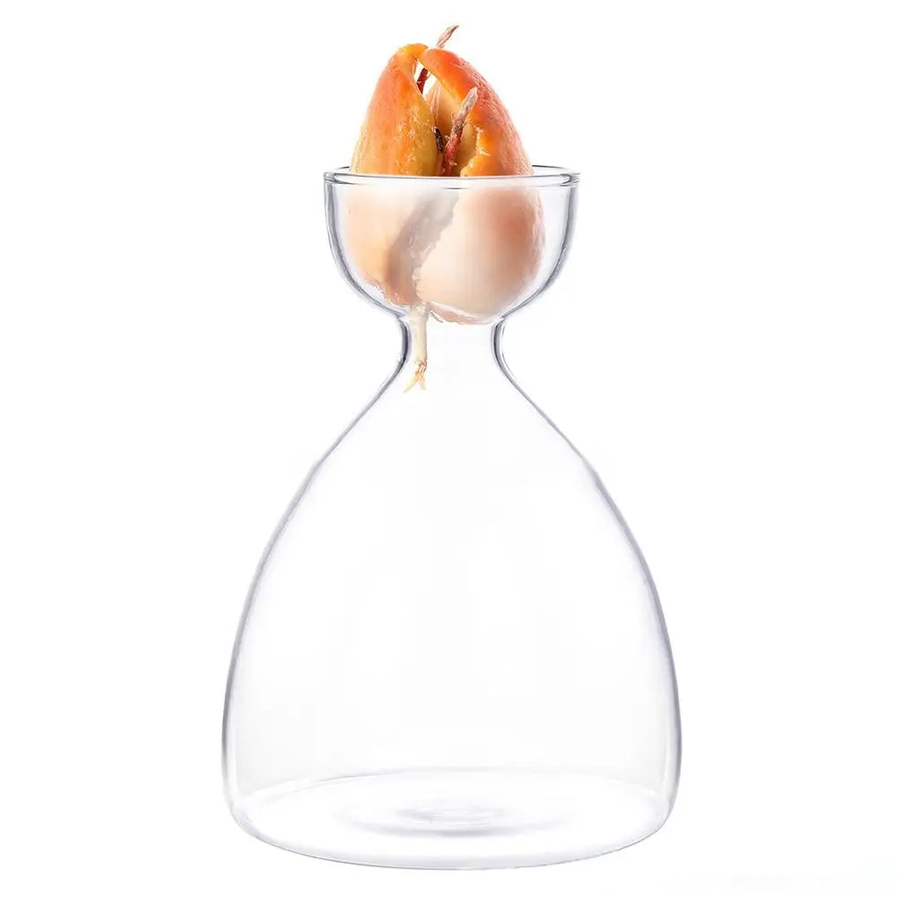 Seme glass vase