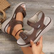 Brown / US 12