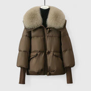 Brown / XL